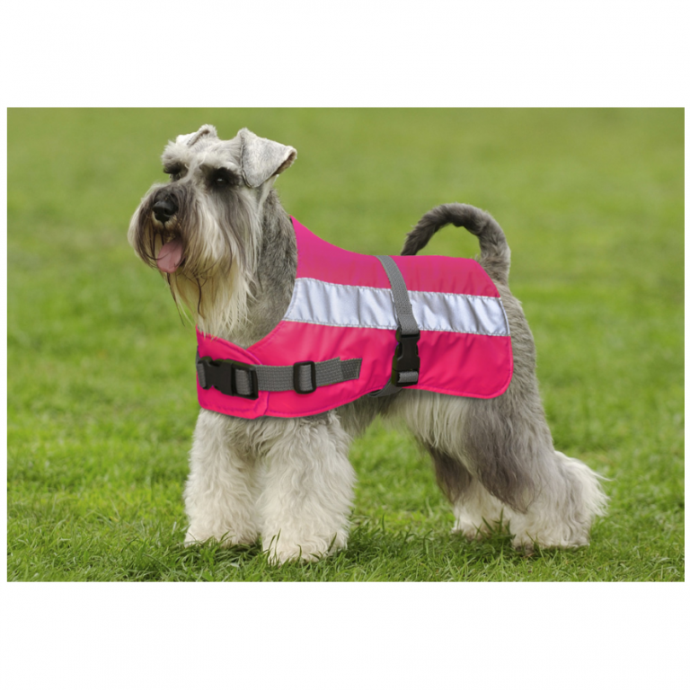 Flecta Dog Jacket Pink
